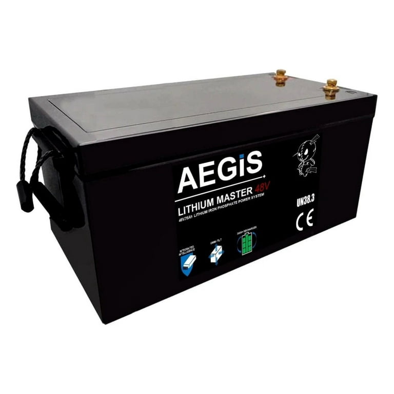 48V 50Ah LiFePO4 Deep Cycle Battery – Lithium Master