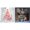 White 1PCS & red 1PCS, variant on Christmas Window Clings Stickers Christmas Wall Decals Winter Merry Christmas Tree Window Decals for Xmas Party Home Holiday Shop Glass Display Decoration