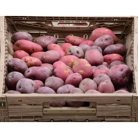 Red Potatoes, each - Walmart.com
