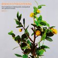 thumbnail image 4 of 10pcs Branch Shape Tool Fruit Branch Spreader Branch Limb Spreader Garden Adjustable Fixture, 4 of 8