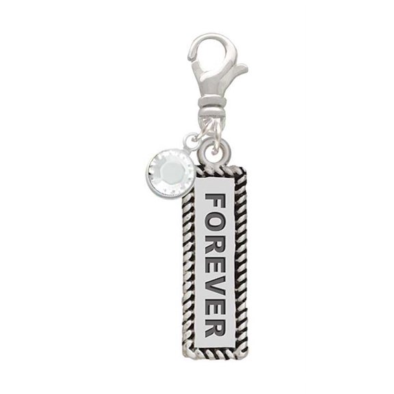 Delight Jewelry Forever - Silvertone Clip on Charm with Clear Crystal Drop