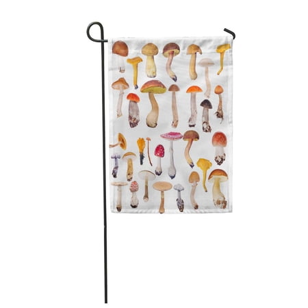 SIDONKU Red Collection Large of Mushrooms Orange Toadstool Garden Flag Decorative Flag House Banner 12x18 inch