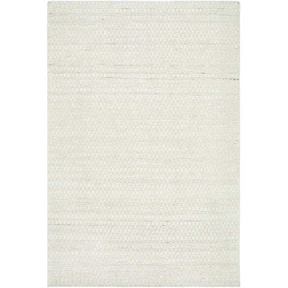 BoutiqueRugs Tevah Traditional, Transitional Area Rug - Light Silver, Off White - 2' x 3'