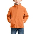 thumbnail image 2 of HAiming Boys Kids Plush Jackets Sleeveless Full Zip Stand Collar Solid Color Outerwear Soft Coat Fall Trendy Clothes, 2 of 4
