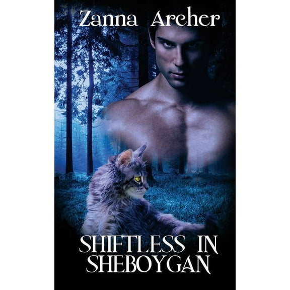 Shapesisters: Shiftless In Sheboygan (Paperback)