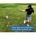 thumbnail image 2 of Juguete interactivo para perros Flirt Pole Dewonch con cuerda de forro polar, 2 of 6