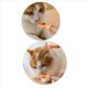thumbnail image 5 of 12 Piezas Divertidas Mini Manos Juguetes Creativos para Dedos PequeñA Mano Se Burla del Juguete para Mascotas, 5 of 10