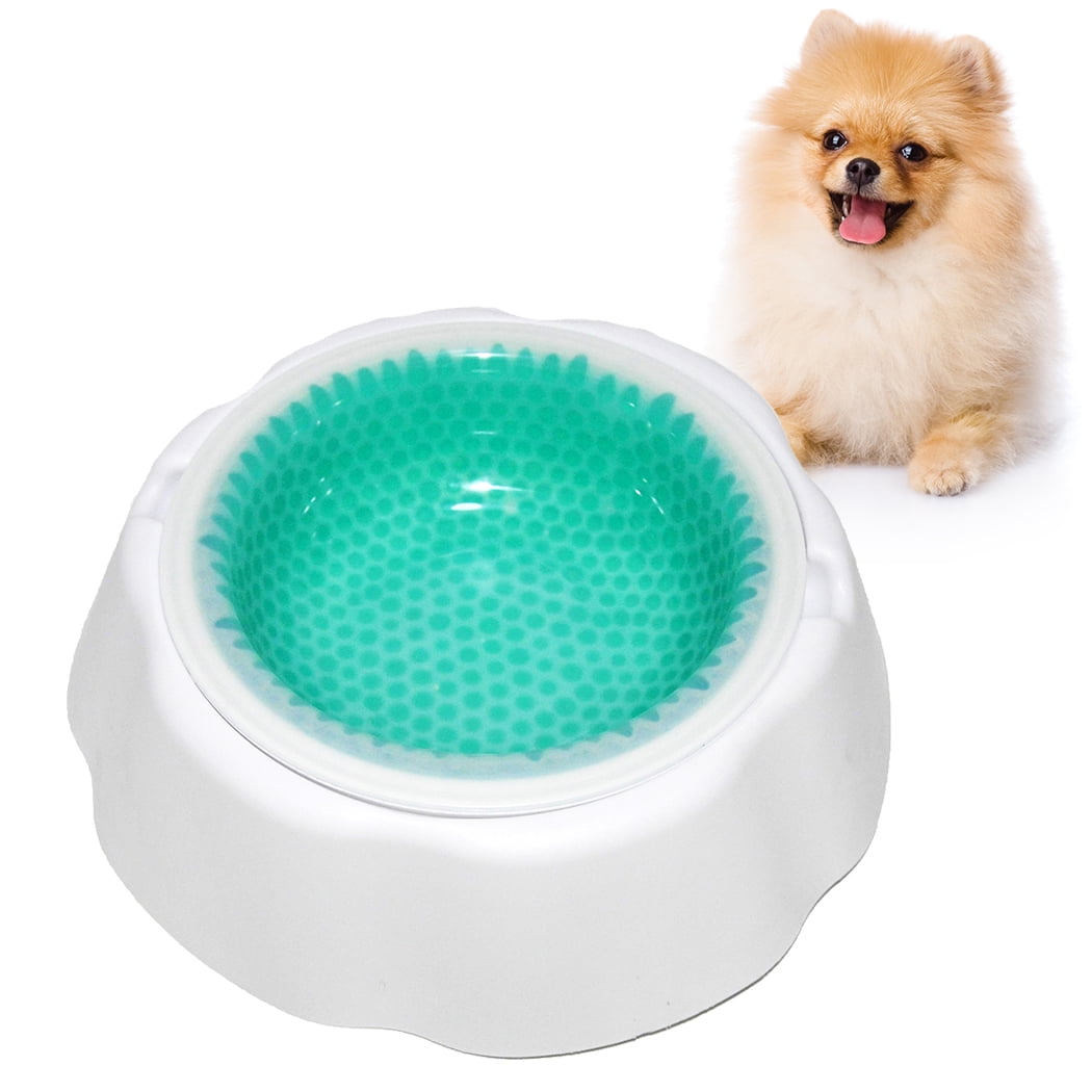 Dog Bowl Fastcooling Fresh Pet Cooler Bowl Water Feeder for Cats Dogs
