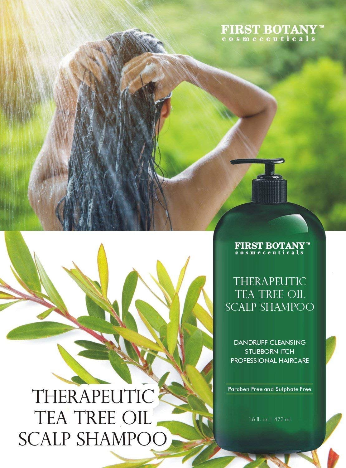 Tea Tree Oil Shampoo 16 Fl Oz Anti Tiendamia Com