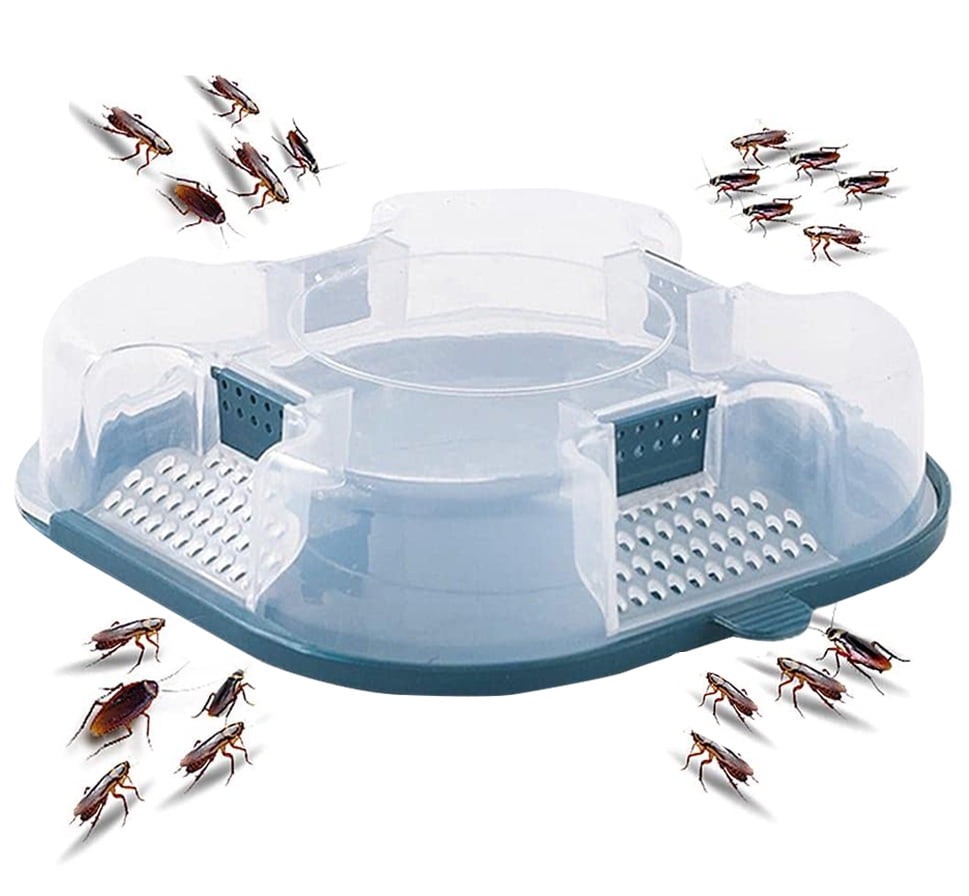 Buy Cockroach Trap, Cricket Trap, NonToxic, Reusable, House Cockroach