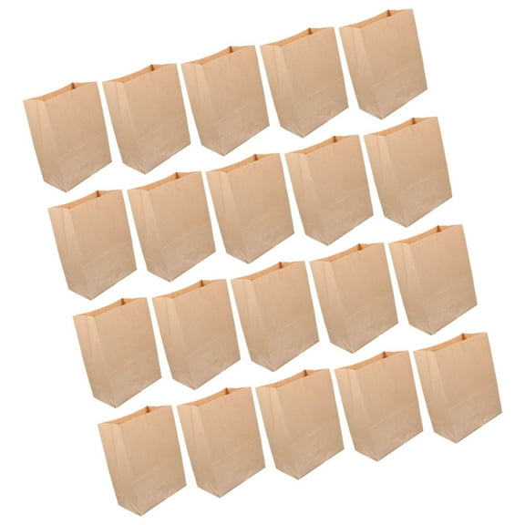 NICEXMAS Kraft Paper Bags Brown 20Set Small Paper Treat Bags 13.00x8.00x24.00cm