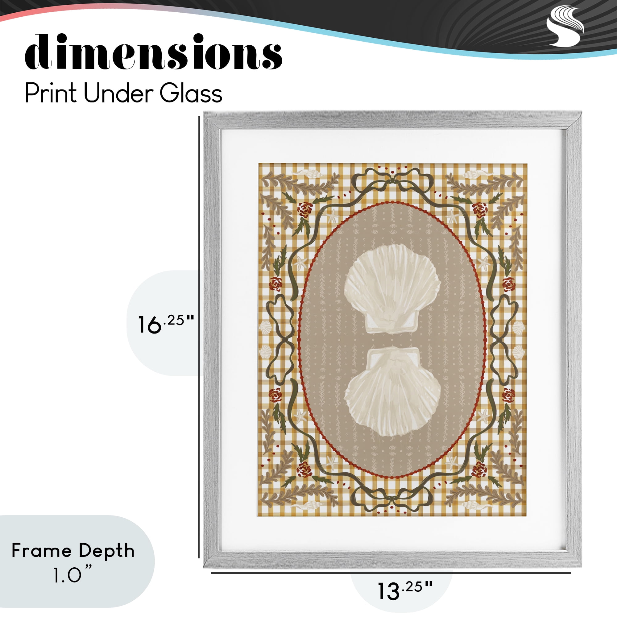 Stupell Industries Vintage Shells on Gingham Gray Framed Print Under Glass, design by Vero Illustrates