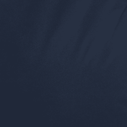 Bluenight Navy