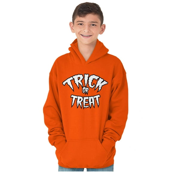 Classic Halloween Trick or Treat Youth Hoodie Boy Girl Teen Brisco Brands XS