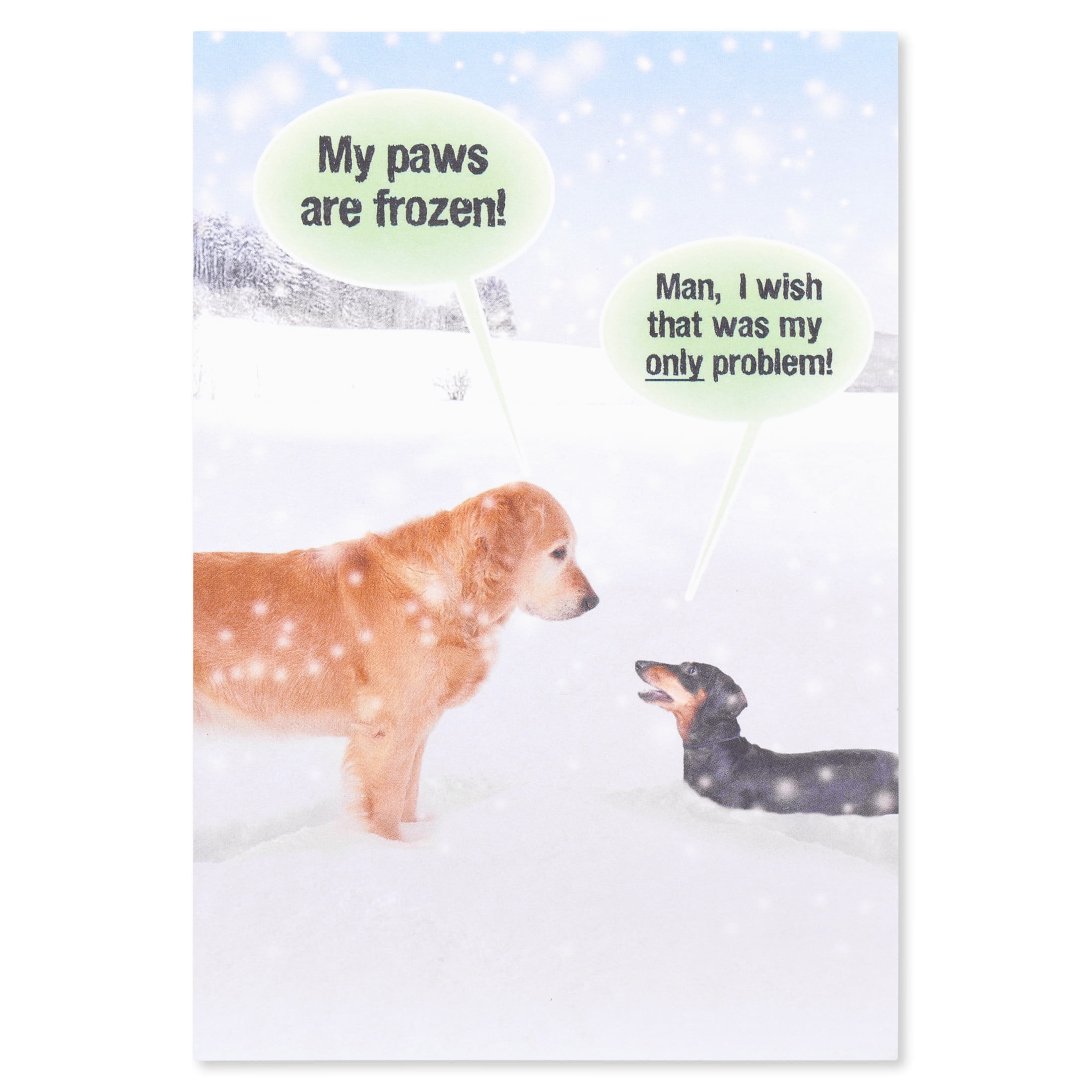 American Greetings Funny Christmas Greeting Card for Anyone, (Warm Wishes)