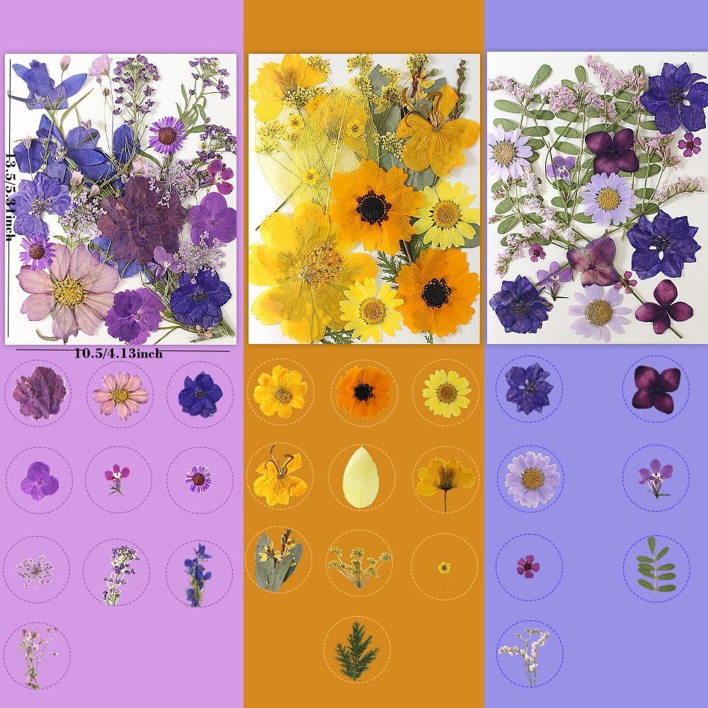 MetalM -140Pcs Dried Pressed Flowers,Natural Dried Flowers Bulk with Dried Leaves for Resin,Mixed Color Dried Flowers for DIY Crafts,Epoxy Resin,Candle Making,Jewelry,Floral DIY Art,DIY Supplies Kits