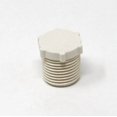 thumbnail image 1 of LaSalle Bristol Fitting Plug/Fitting Cap 79SCTP4 Fitting Plug/Fitting Cap; QEST; 3/4 Inch Female Pipe Thread Test Plug; Gray; Single, 1 of 2