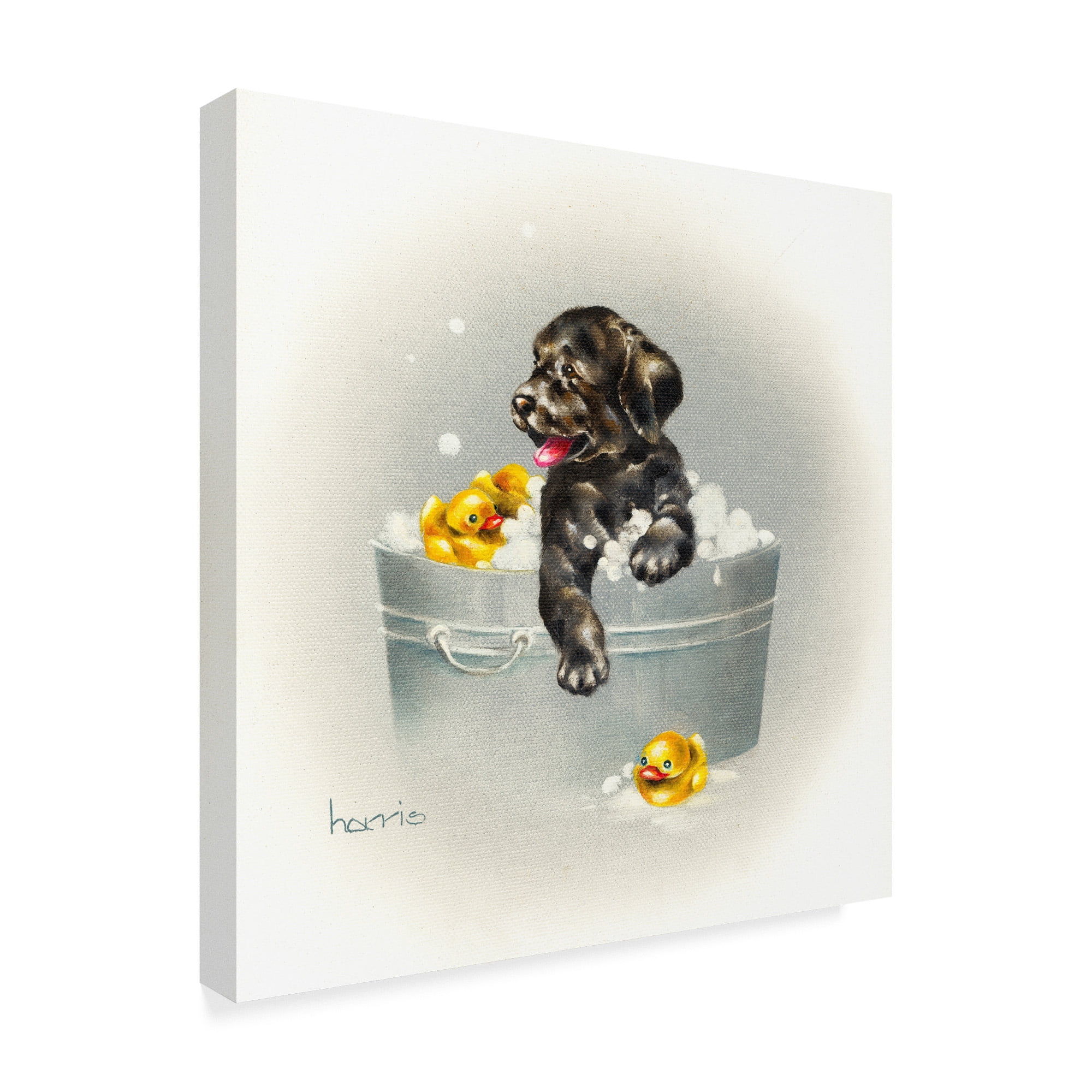 Trademark Fine Art 'Ducks Unlimited' Canvas Art by Peggy Harris