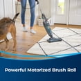 thumbnail image 3 of Aspirador Bissell Featherweight PowerBrush 2773A 600W, 3 of 7