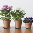 thumbnail image 3 of Flower Pot Kit Plant Tray Base Home Garden Decoration Spring Dish Drain Plate Drip Easy To Clean And Wash Plastic Saucer, 3 of 4