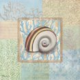 thumbnail image 2 of Brent, Paul 15x15 Black Ornate Wood Framed with Double Matting Museum Art Print Titled - Oceanic Shell Collage IV, 2 of 4