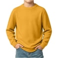 thumbnail image 2 of Vmberlty Toddler Boy Girl Sweaters Classic Solid Color Crew Neck Knit Base Layer Breathable Long Sleeve Casual Pullover Sweaters for Toddler Kids, 2 of 8