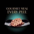 thumbnail image 5 of Sheba Perfect Portions With Sustainable Salmon Cuts In Gravy Cat Food, 2.6 Oz Twin-Pack Trays, 5 of 9
