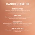 thumbnail image 4 of Vela perfumada Yankee Candle, mandarina y vainilla, 650 ml, 4 of 7