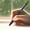 Black, variant on YIMWNYI Push Ballpoint Pen, Ergonomic Writing Instrument, Metal Clip Design, Long-lasting Gel Refill, Sleek and Elegant Office Pen, Comfortable Grip, Smooth Writing Experience