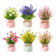 thumbnail image 1 of Plantas Artificiales Belug Flor Bonsai En Macetas Decoración 6pcs, 1 of 3