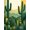 Green, Pattern 1, variant on Flatwoven High Traffic Area Rug, Vibrant Tropical Cactus Aesthetic, Non Slip, Stain Resistant, Washable Area Rugs for Living Room, Bedroom(Green, 4X6)