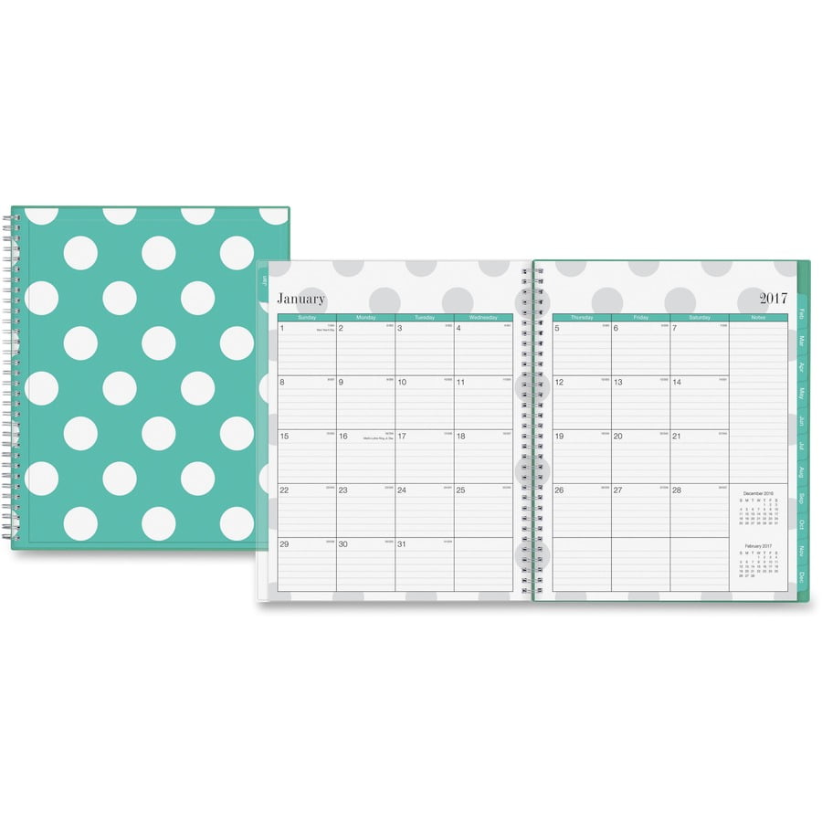 Blue Sky Large Weekly/Monthly Penelope Clear Planner