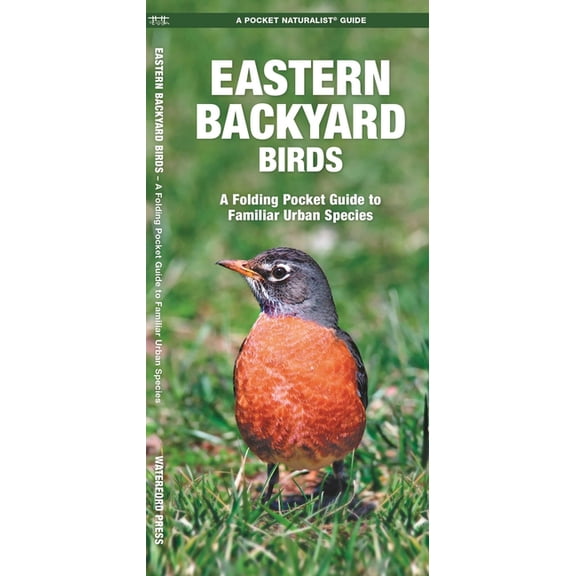 Pocket Naturalist Guides: Eastern Backyard Birds: An Introduction to Familiar Urban Species (Paperback)