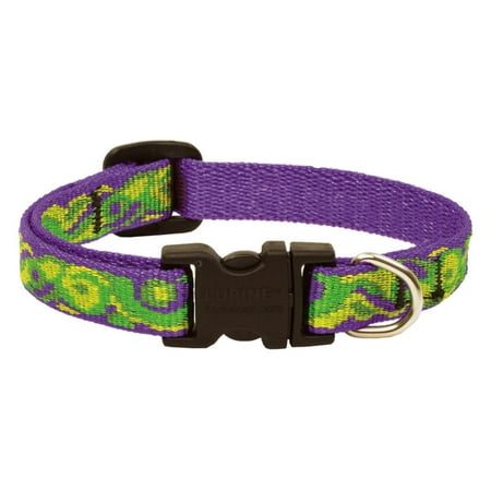 Lupine Collars and Leads 98537 8