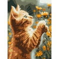 thumbnail image 5 of Painting by Numbers kit Red fluffy KHO6607, 5 of 6