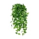 thumbnail image 2 of Cortina de pared verde artificial - Hiedra plástica de 100 cm x 30 cm con 164 hojas, decoración interior para salón, dormitorio, cocina, 2 of 8