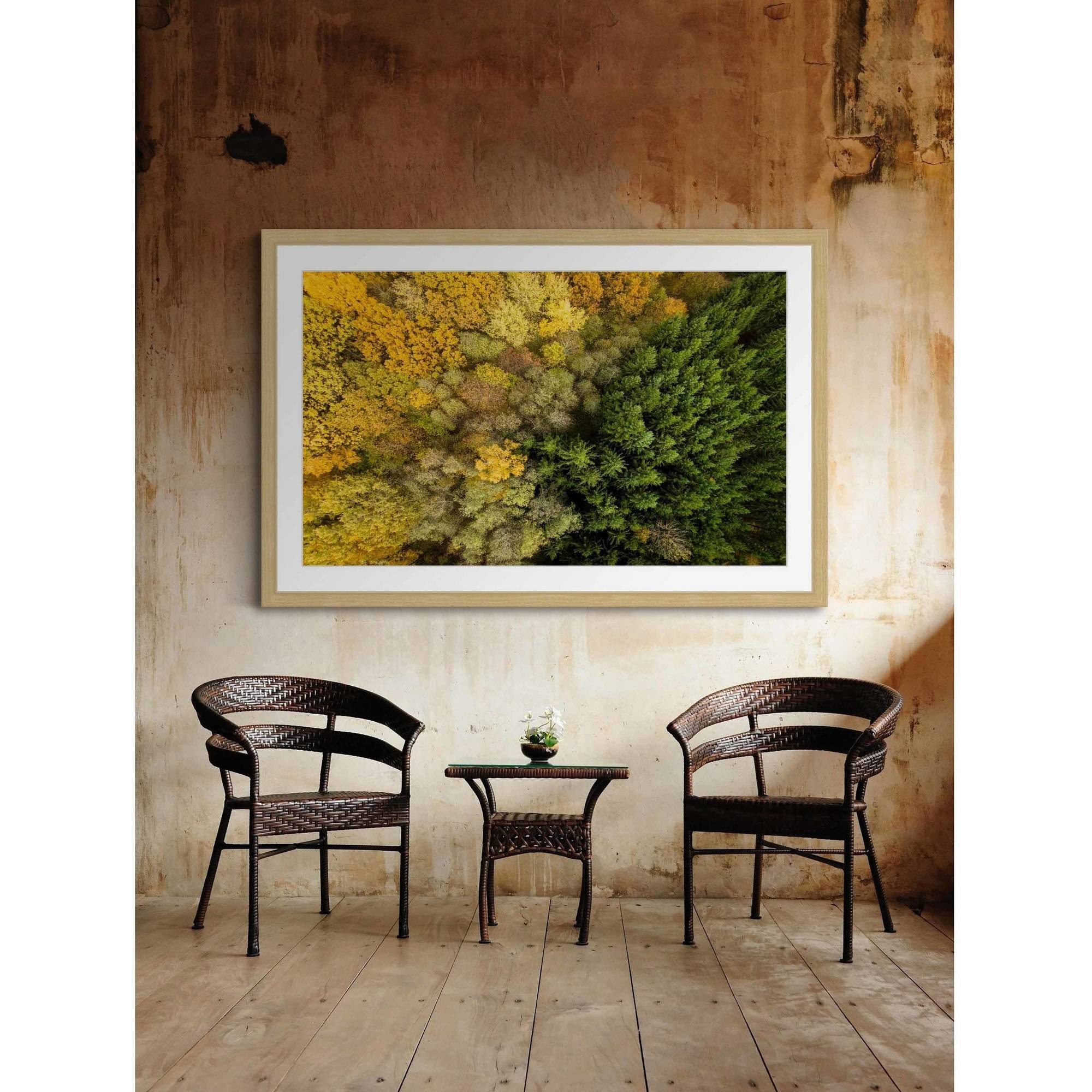Marmont Hill "Dense Growth" by Karolis Janulis Framed Painting Print