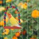 thumbnail image 2 of Juguetes para loros y pájaros shaofei 6 piezas columpio hamaca colgante escaleras color aleatorio, 2 of 5
