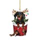 thumbnail image 2 of Teissuly New Christmas Ornaments Christmas Tree Ornaments Christmas Gifts Home Decoration Teissuly WER202310160616, 2 of 2