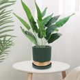 thumbnail image 2 of Planta falsa, planta artificial, decoración, planta artificial, planta falsa para el hogar y la oficina, 2 of 8