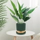 thumbnail image 2 of Planta falsa, planta artificial, decoración, planta artificial, planta falsa para el hogar y la oficina, 2 of 8