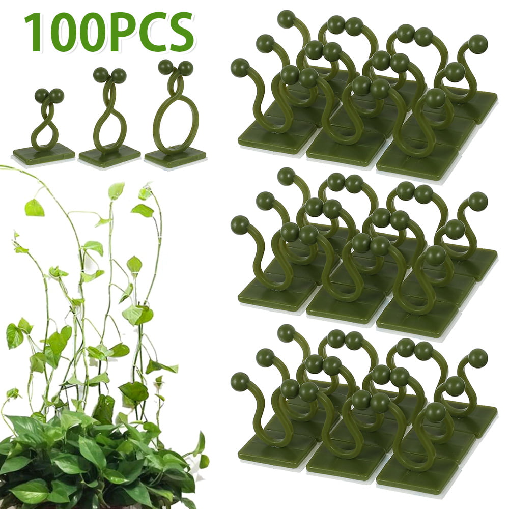 Plant Climbing Wall Clip Invisible Wall Vines Fixture Wall Sticky Hook Holders 