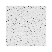 USG INTERIORS R2120 Radar Ceiling Tile, 2-feet by 2-feet