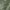 WIND PALM PRINT, GREEN MINI STRIPE, GREEN HEATHER, variant on Kindly Yours Women's Seamless Hipster Underwear 3-Pack, Sizes XS to XXXL