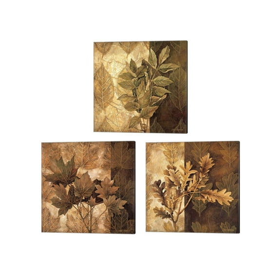 Great Art Now Leaf Patterns by Linda Thompson 3 Piece Canvas Art Set Each 14W x 14H