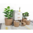 thumbnail image 3 of ZOELNIC 1PACK Artificial Plants Indoor Fake Turtle Tree 22" Tall Green Leaves Faux Tropical Jungle Monstera for Home House Outdoor Office Garden Decoration (Green), 3 of 8