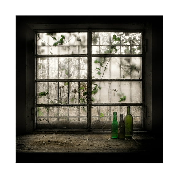 Trademark Fine Art Vito Guarino Still-Life With Glass Bottle Canvas Wall Art - 35x35