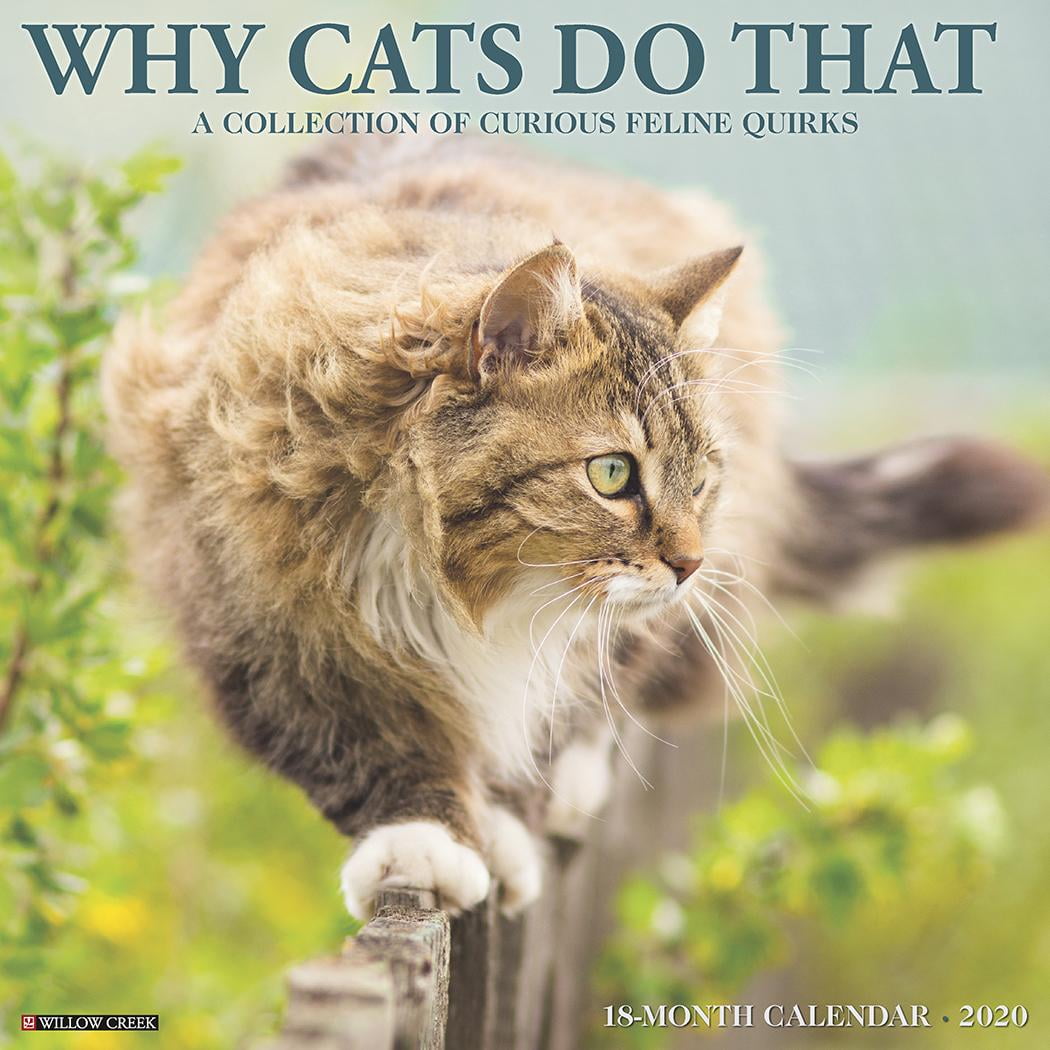 Why Cats Do That 2020 Wall Calendar (Other)