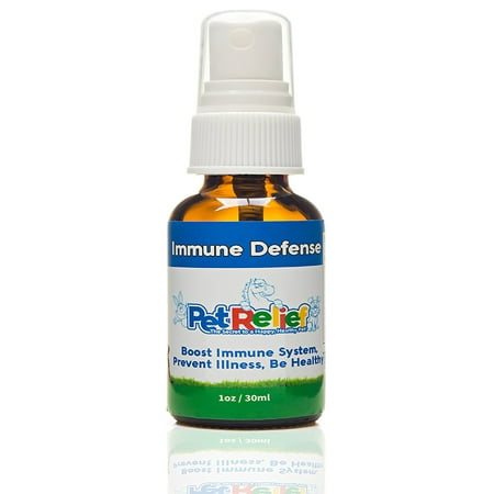 Dog Immune System Booster Natural Dog Immune System Booster Natural