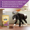 Nature’s Recipe Original Dry Dog Food for Adult Dogs, Lamb & Rice